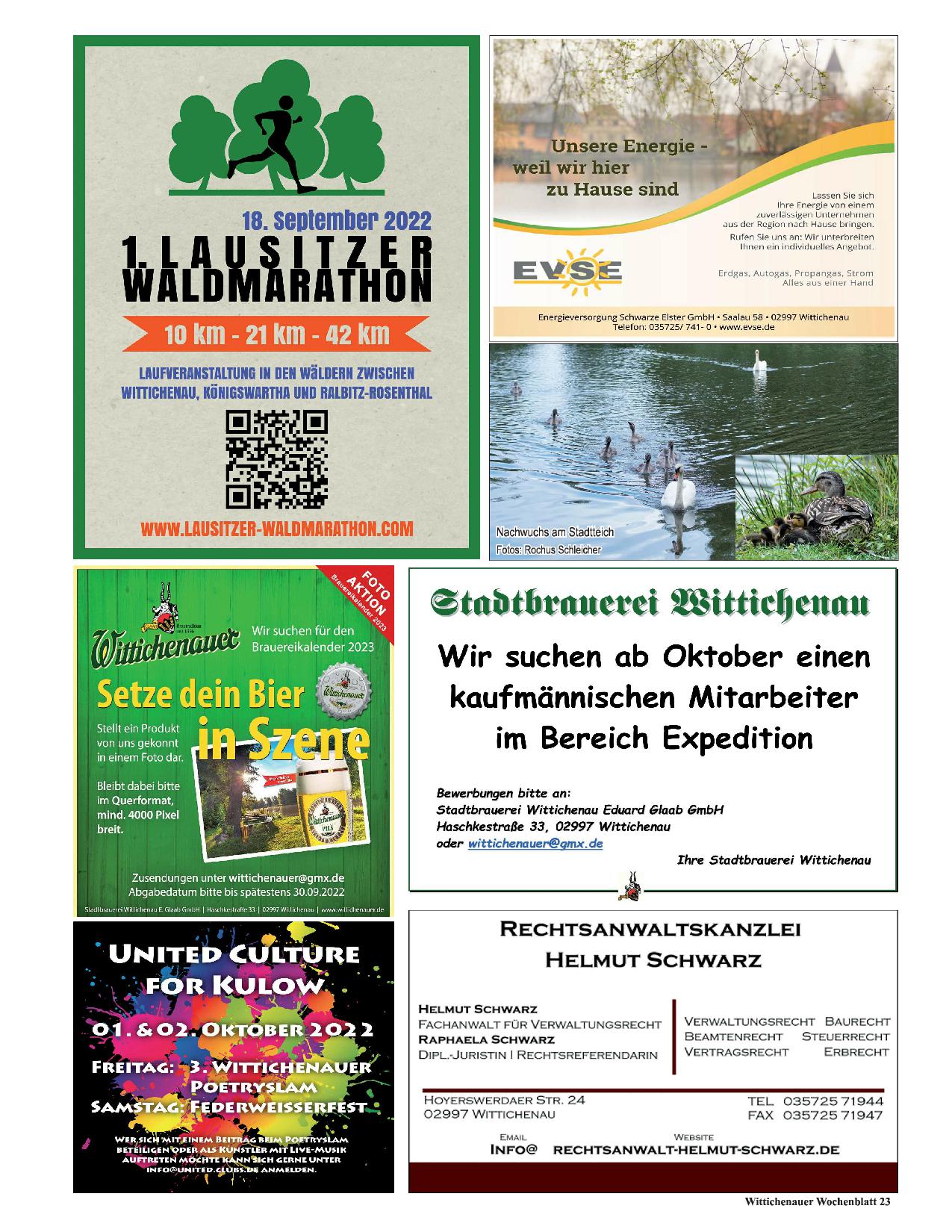 Wochenblatt Nr. 12 - 2022